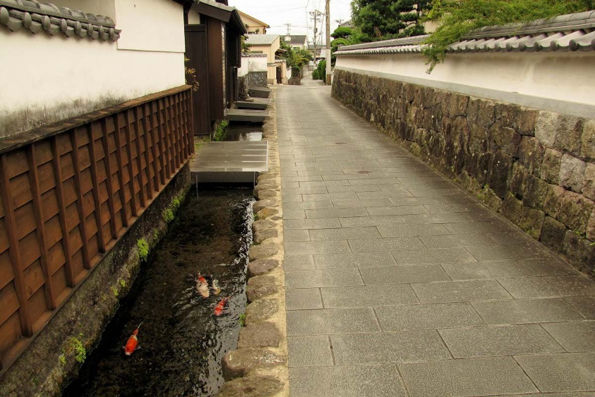 🏞️ 잉어가 헤엄치는 마을(코이노오요구마치) 이미지 6